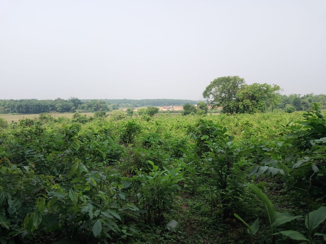 219573ca-8ce6-4e81-bc52-4b4d06153583