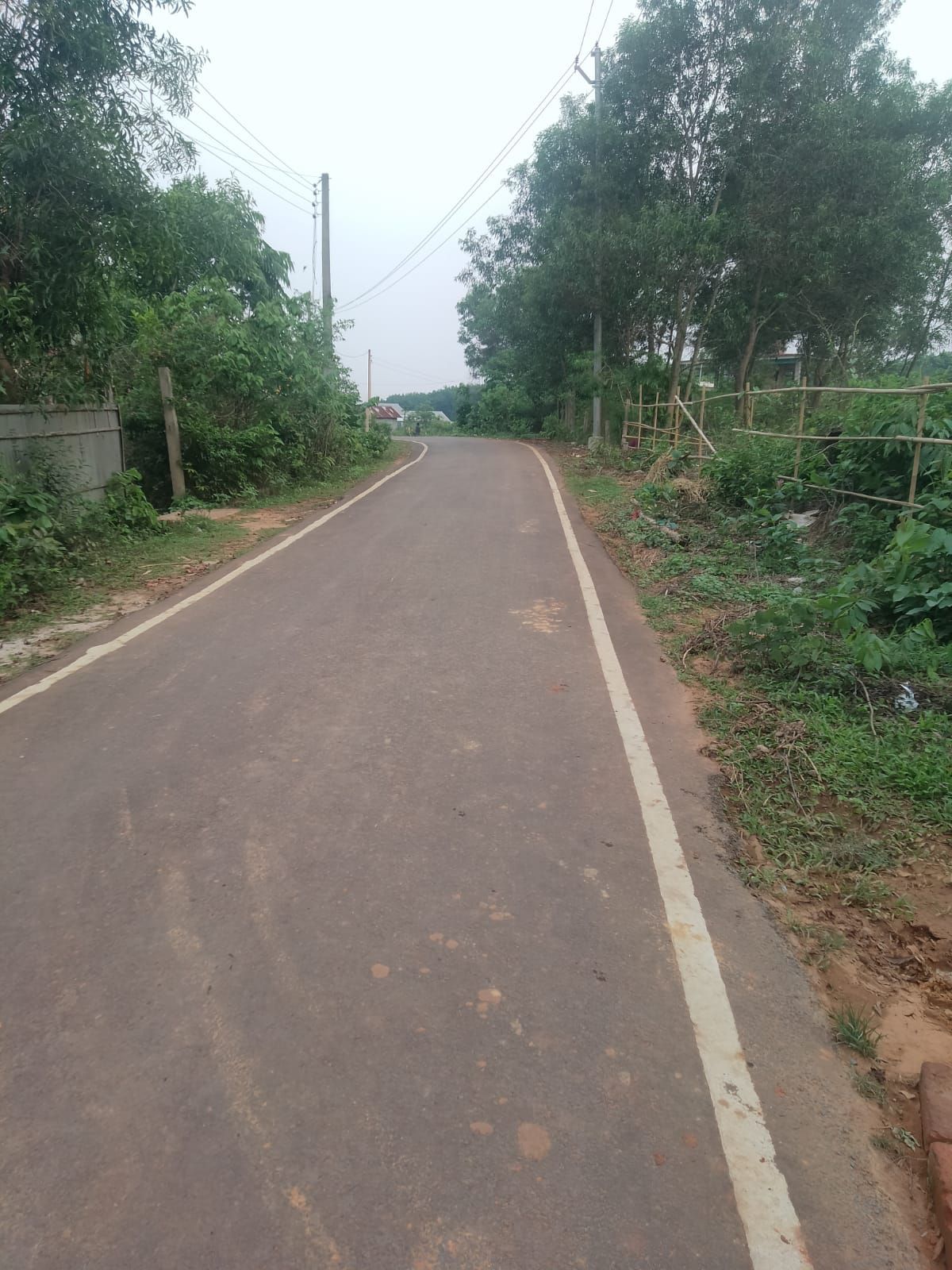 3e1ca9ea-2286-4a09-995c-cfde73b279aa