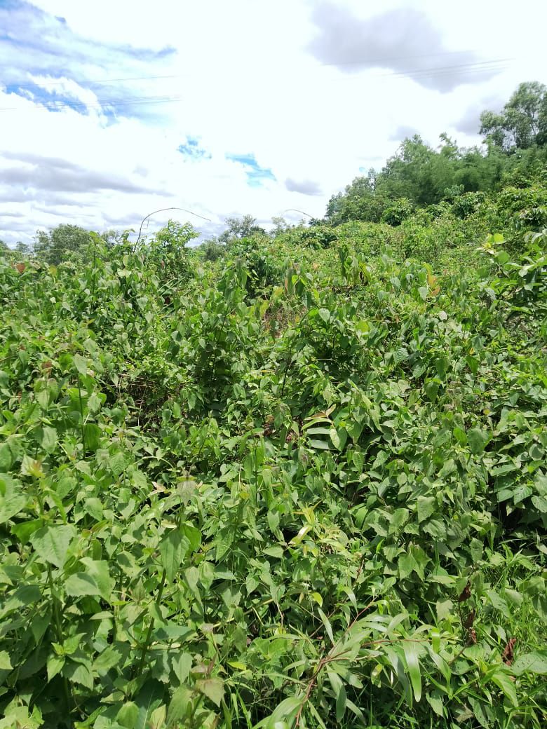 599f8efa-5830-41f0-89b3-c513f99a1766