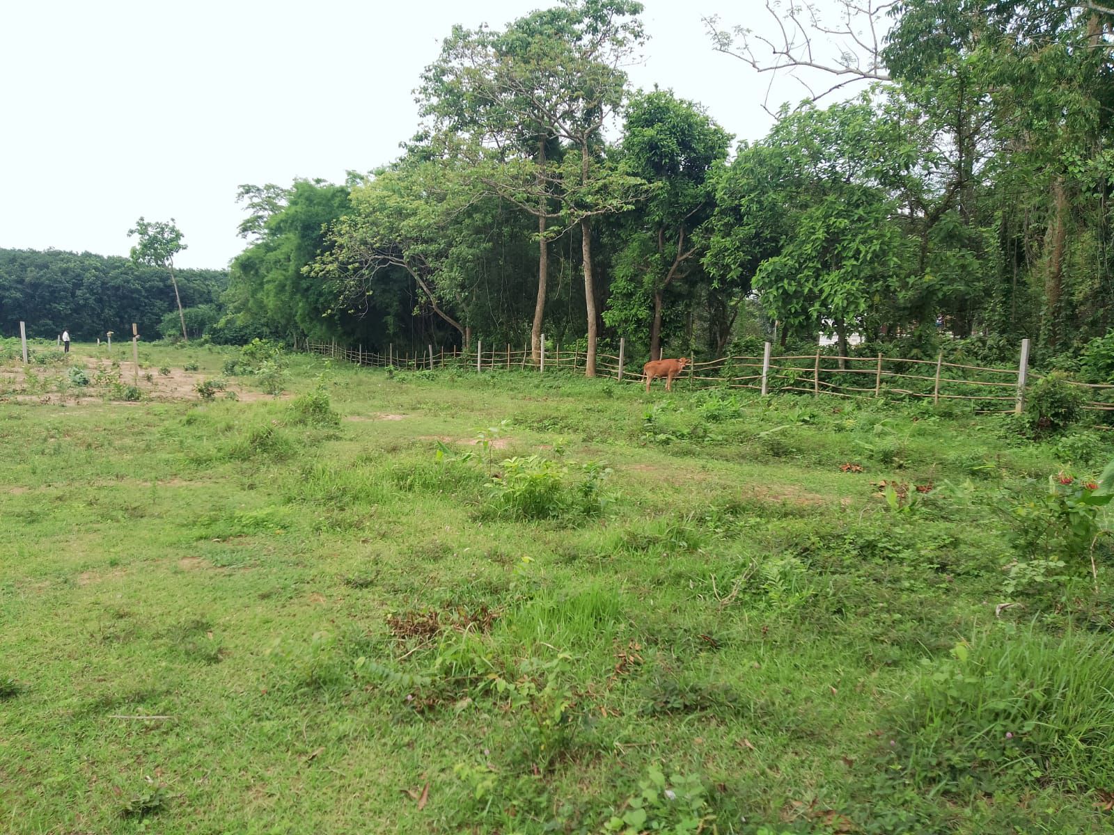 776ee1be-bf26-476c-aa73-bace310e832f