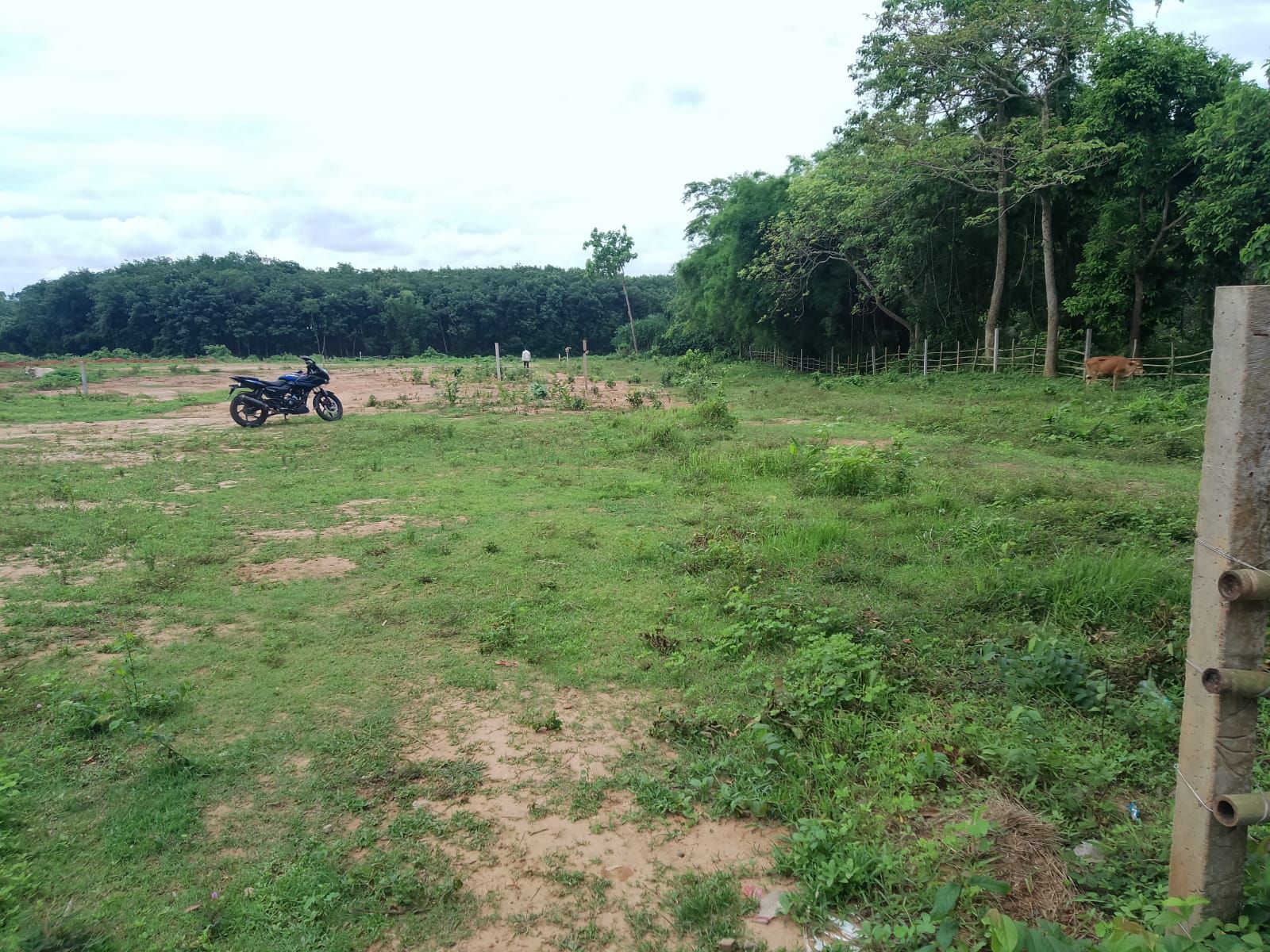 8ab9e323-89df-45fc-96f9-629d0b895875