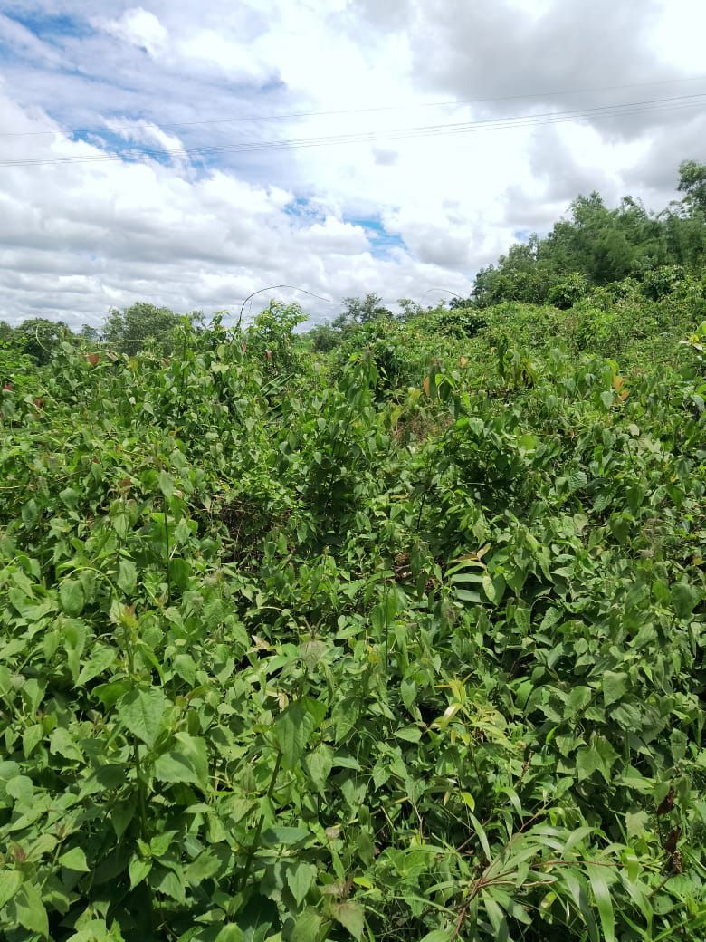 c0cebc9c-e5fd-41c3-a9bf-675c5e699c03