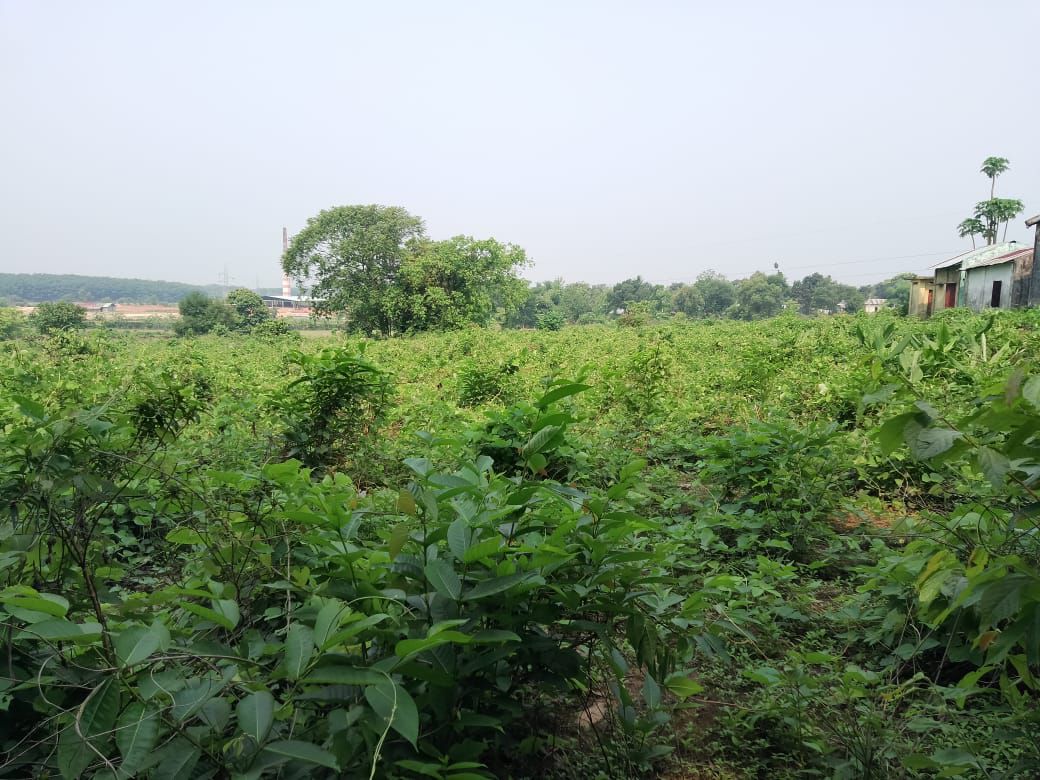 ee70a77d-8062-4c4c-b103-2b74dd9ce96c