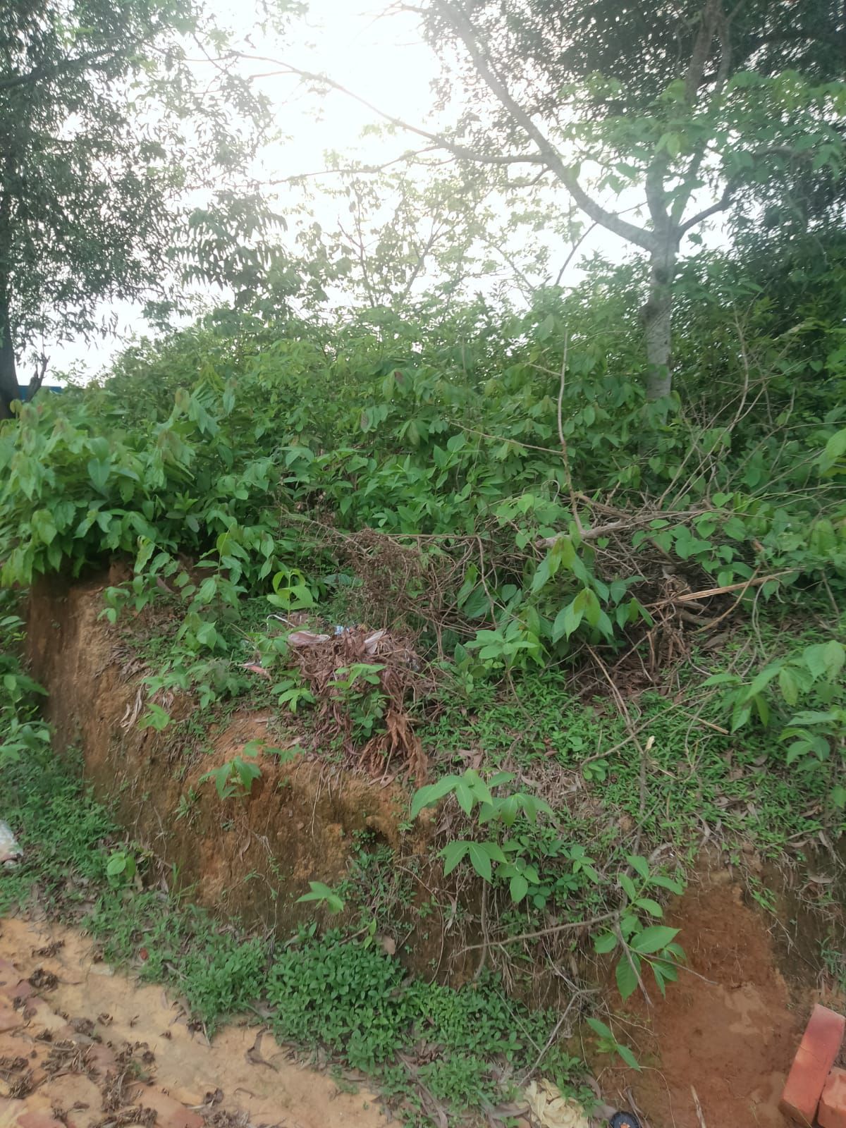 fb772937-a002-4d75-8d5b-d9a21f721d39