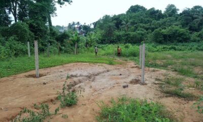 d35626d8-6b08-4710-bd33-3462ef9678f9