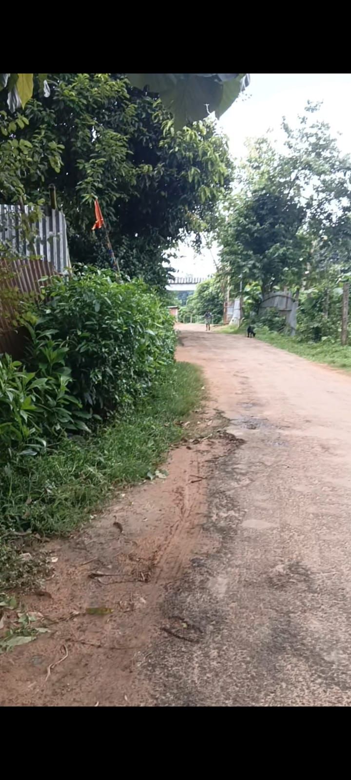 2ae2b604-34c8-46d6-9153-cea097558eeb