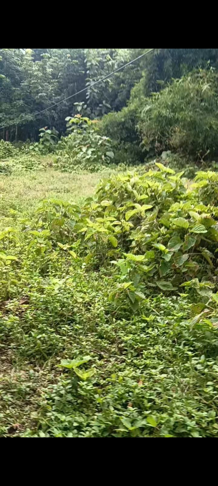 494e7091-dbe2-4ce3-b892-49cf317a866c