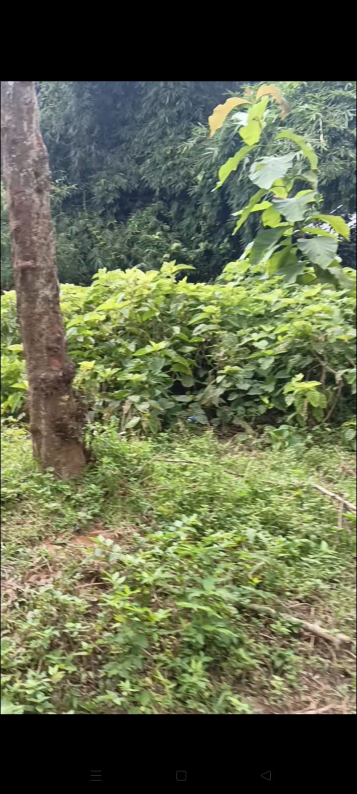 6def082d-a492-4d10-9bd1-47883e2dbff4