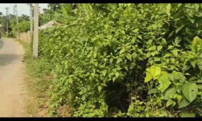 8e3263b2-12b2-4f19-9c58-aee4b6b2df6f