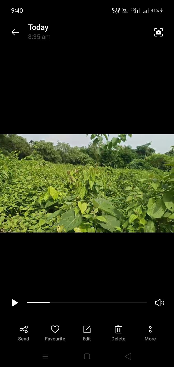 8fc6a8f2-da57-4f7a-ae96-9a5293e2c1f9