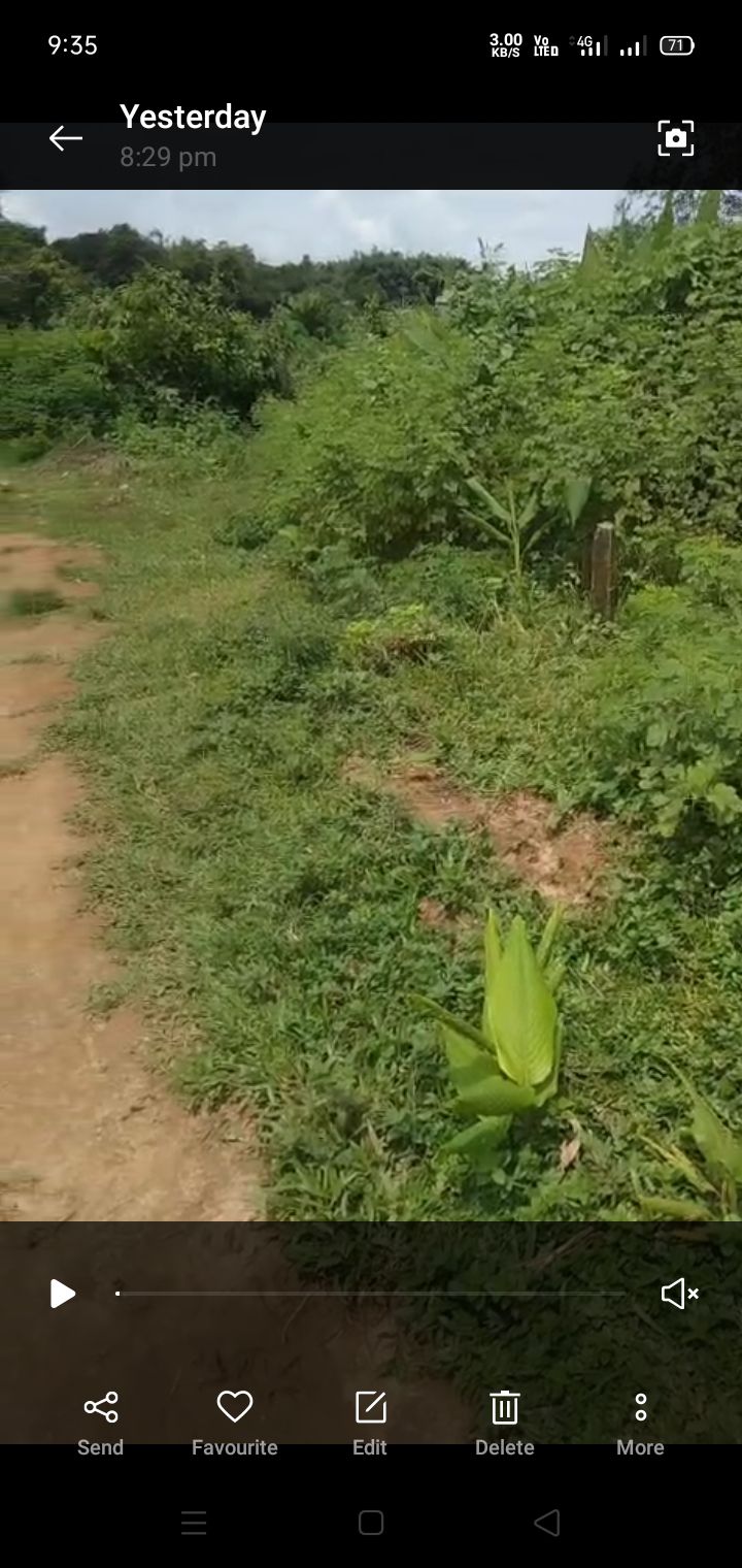 ab602c95-f5da-4a2c-a1ca-ceb93e2fefa8