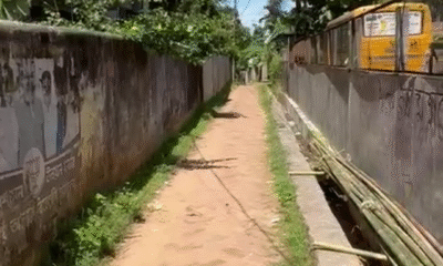 b1c25875-66d5-40b6-9952-02b0da70a11c