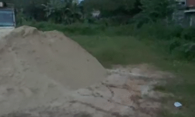 234cbd06-803d-473b-b09c-cd5688845511