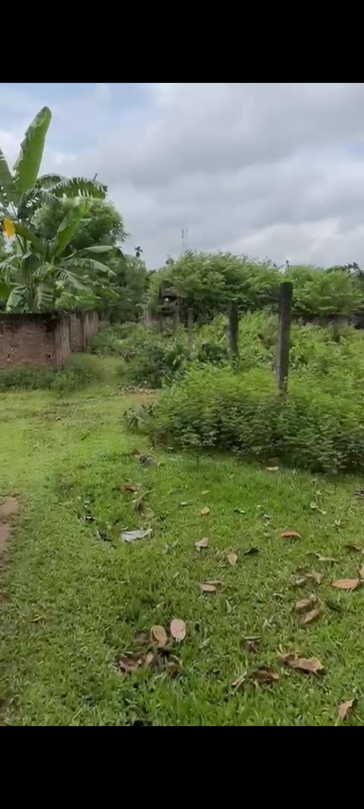 dc240687-8719-4118-b190-ec73f5967c1f