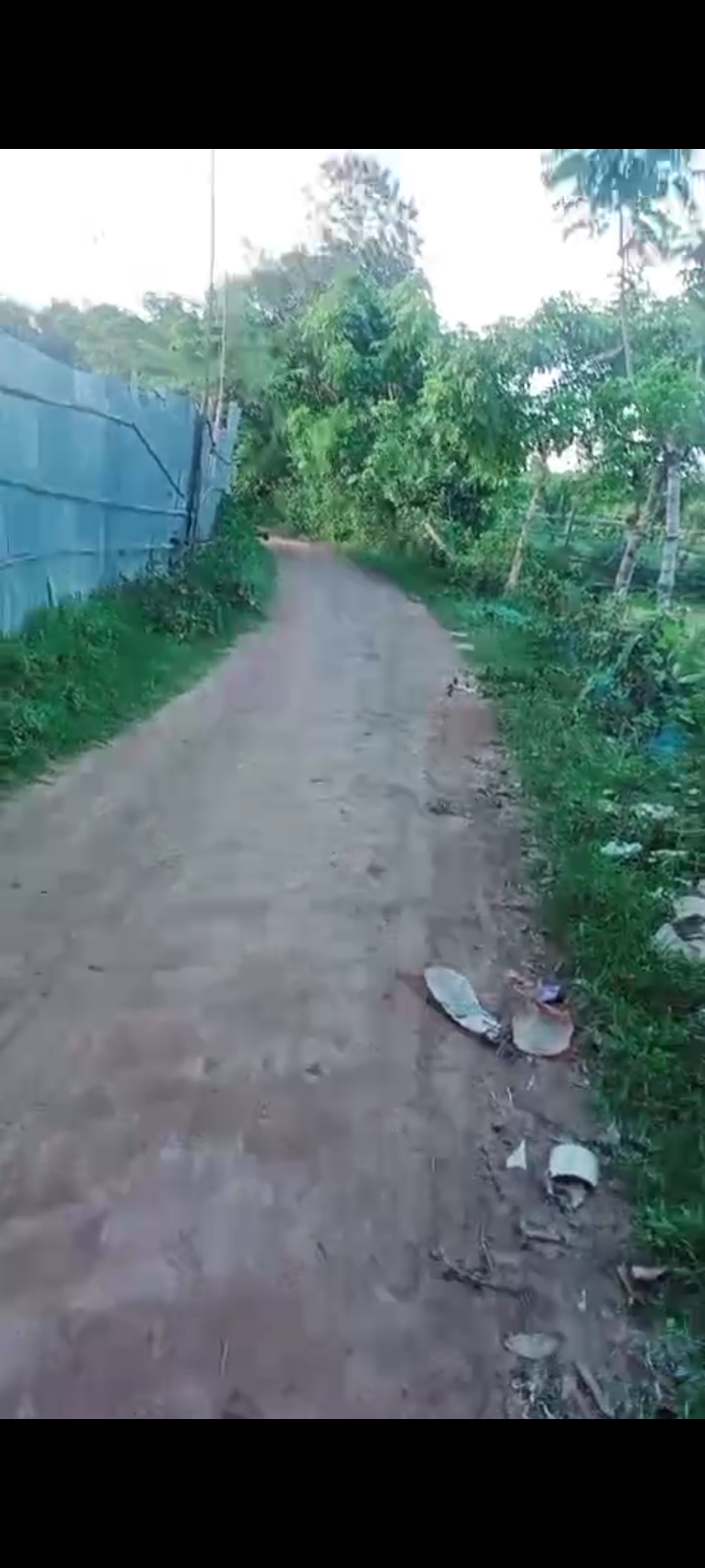 1d44b844-9453-4228-80c9-8ad407129a81