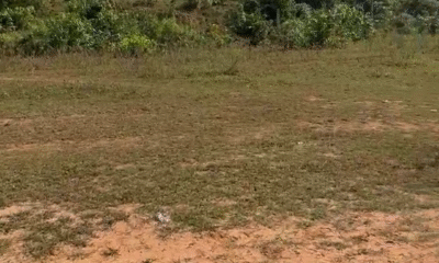 e808f4be-c1e7-4e32-8169-eb7a317ef967