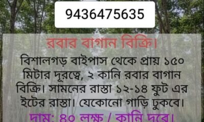 96dece35-baa2-433d-accb-63bc8f9bfc35