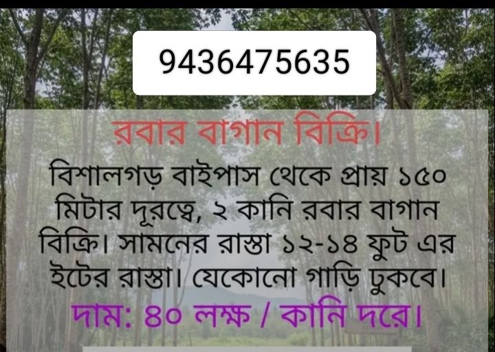 96dece35-baa2-433d-accb-63bc8f9bfc35