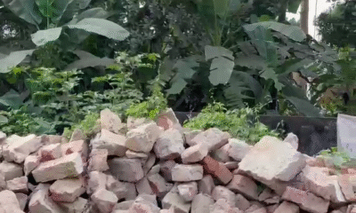 467ba615-6043-4754-8497-1c2da1edc8d5