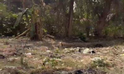 7f6abc2d-976b-4db7-8b3d-5e4c9062db36