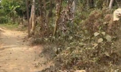 be79befe-b645-4b0d-a9fd-eedda11e5d2e