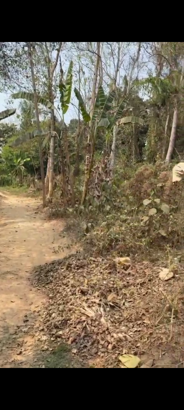 be79befe-b645-4b0d-a9fd-eedda11e5d2e