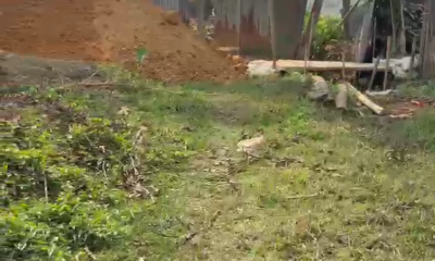 cc5fbc60-2e25-4191-afaf-ac9e4ba139df